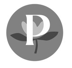 logo pirouette